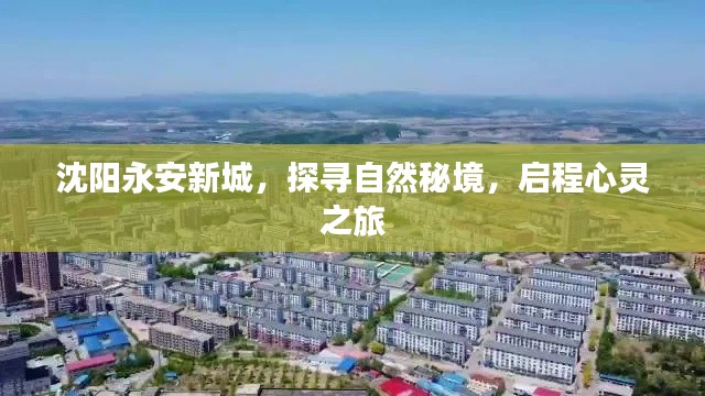 沈阳永安新城，自然秘境探寻，心灵启程之旅