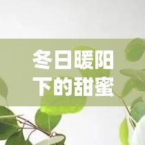 冬日暖阳下的甜蜜情侣网名，爱的日常故事之旅