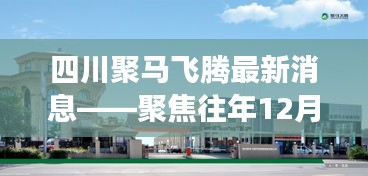 四川聚马飞腾往年12月2日发展动态聚焦，最新消息揭秘