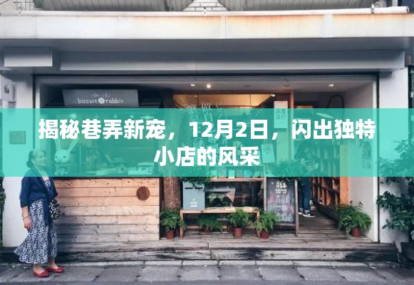 巷弄新星璀璨登场，揭秘独特小店风采，闪耀十二月初冬日时光