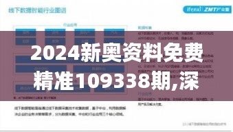 2024新奥资料免费精准109338期,深层解答解释落实_WP18.775-3