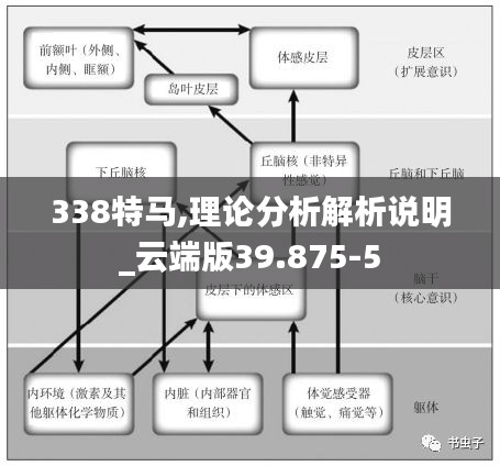 338特马,理论分析解析说明_云端版39.875-5