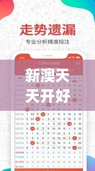 新澳天天开好彩资料大全338期,高效实施方法解析_RX版89.629-5