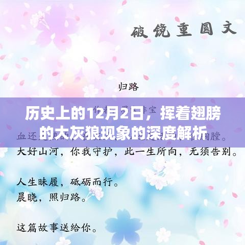 深度解析，挥翅大灰狼现象的历史演变与影响