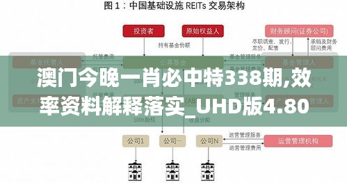 澳门今晚一肖必中特338期,效率资料解释落实_UHD版4.806-8