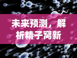 未来视角，精子窝新地址预测与争议（2024年深度解析）