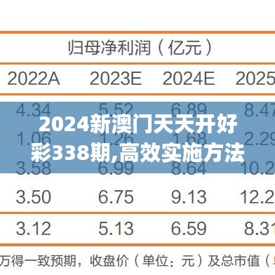 2024新澳门天天开好彩338期,高效实施方法解析_Phablet49.259-4