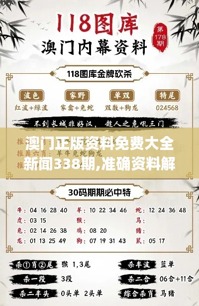 澳门正版资料免费大全新闻338期,准确资料解释定义_手游版46.272-6