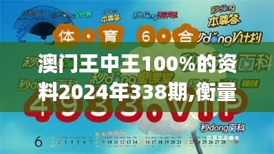 澳门王中王100%的资料2024年338期,衡量解答解释落实_LE版91.694-1