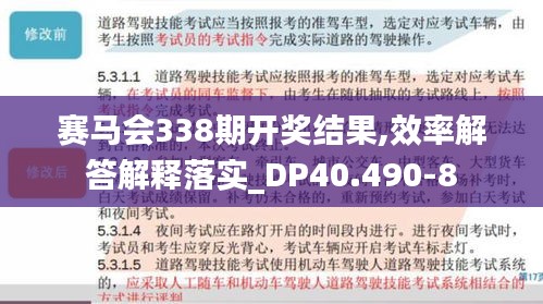 赛马会338期开奖结果,效率解答解释落实_DP40.490-8