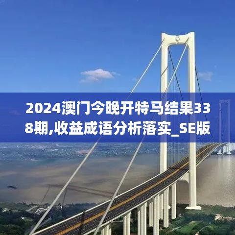 2024澳门今晚开特马结果338期,收益成语分析落实_SE版70.578-4