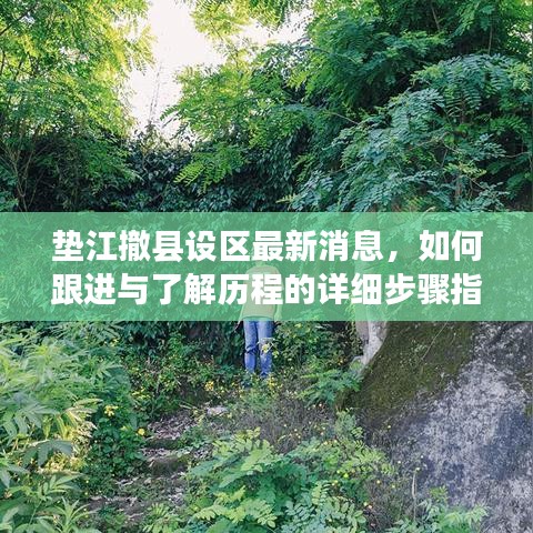 垫江撤县设区最新动态，跟进与了解历程的详细步骤指南