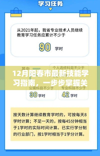 12月阳春市技能学习指南，掌握关键任务步骤