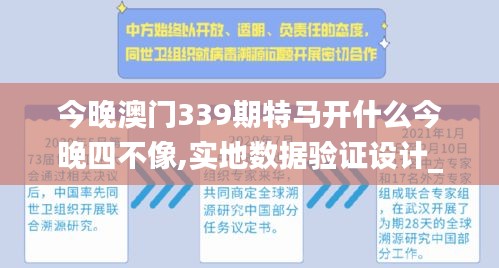 今晚澳门339期特马开什么今晚四不像,实地数据验证设计_V46.711-6