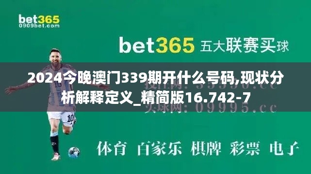 2024今晚澳门339期开什么号码,现状分析解释定义_精简版16.742-7