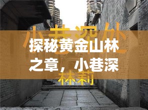 探秘黄金山林隐秘美食之旅，小巷深处的独特风味新篇章揭秘