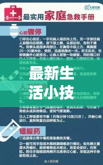 最新生活小技巧分享，实用指南（12月2日版）