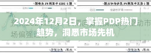 洞悉市场先机，掌握PDP热门趋势在2024年12月2日展望未来