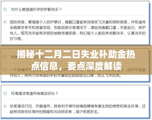 揭秘十二月二日失业补助金热点信息深度解读及要点剖析