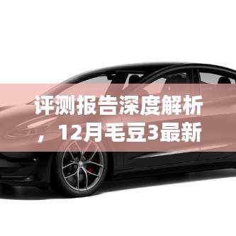 深度评测报告，解析毛豆3最新提车价格特性、使用体验与目标用户分析