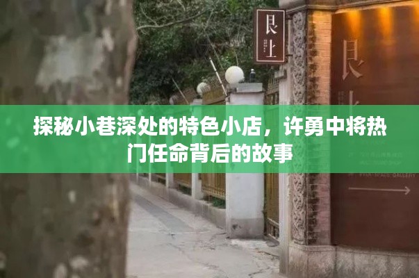 探秘小巷深处的特色小店与许勇中将任命背后的故事