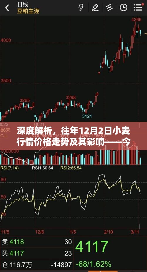 今日观点，深度解析往年12月2日小麦行情价格走势及其影响