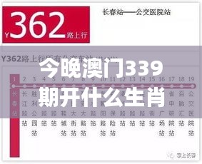 今晚澳门339期开什么生肖,快速落实方案响应_户外版136.362-4