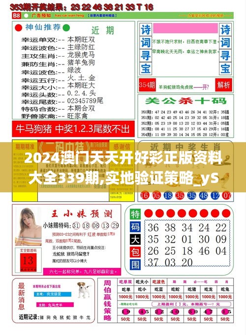 2024澳门天天开好彩正版资料大全339期,实地验证策略_yShop16.252-4