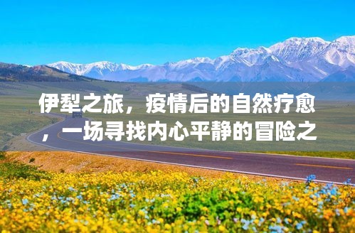 伊犁之旅，疫情后的自然疗愈与心灵冒险之旅