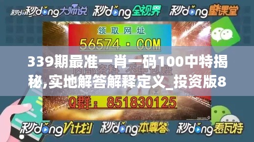 339期最准一肖一码100中特揭秘,实地解答解释定义_投资版8.382-1