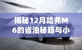 2024年12月4日 第9页