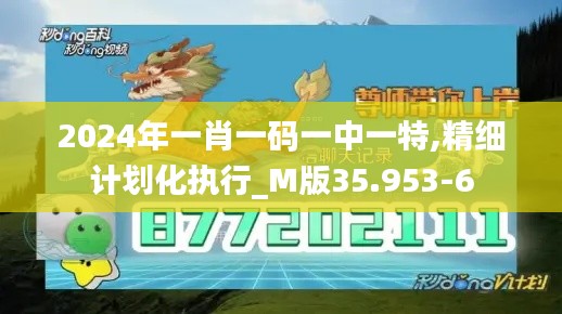 2024年一肖一码一中一特,精细计划化执行_M版35.953-6