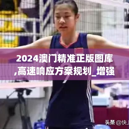 2024澳门精准正版图库,高速响应方案规划_增强版47.737-8