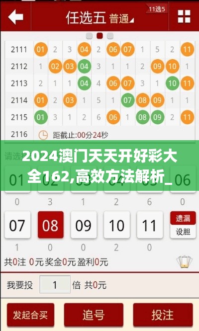 2024澳门天天开好彩大全162,高效方法解析_SE版70.196-2