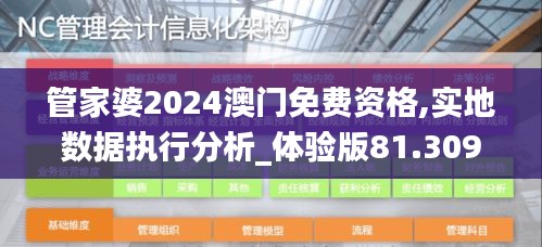 管家婆2024澳门免费资格,实地数据执行分析_体验版81.309-4