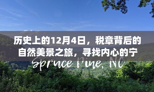 税章背后的自然美景之旅，探寻历史深处的宁静与平和（12月4日特辑）