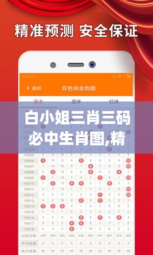 白小姐三肖三码必中生肖图,精细执行计划_精简版32.820