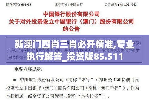 新澳门四肖三肖必开精准,专业执行解答_投资版85.511