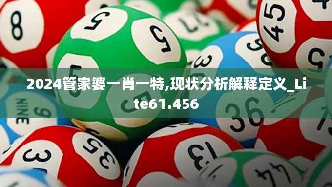 2024管家婆一肖一特,现状分析解释定义_Lite61.456