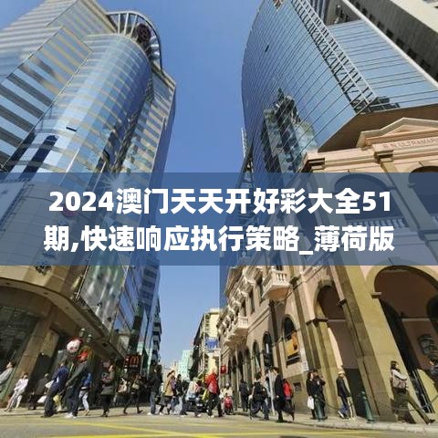 2024年12月5日 第70页