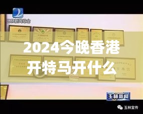 2024今晚香港开特马开什么,持久性方案设计_尊享版31.999