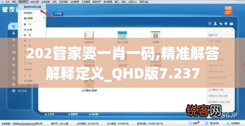 202管家婆一肖一码,精准解答解释定义_QHD版7.237