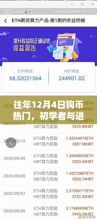 狗币热潮揭秘，初学者与进阶用户全方位指南