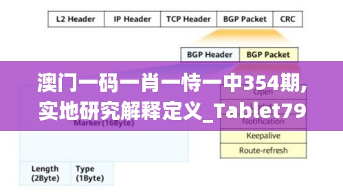 澳门一码一肖一恃一中354期,实地研究解释定义_Tablet79.632