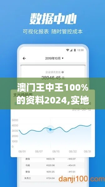 澳门王中王100%的资料2024,实地执行数据分析_MT66.580