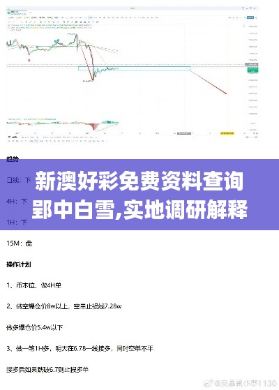 新澳好彩免费资料查询郢中白雪,实地调研解释定义_HDR96.834