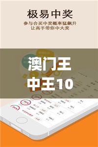 澳门王中王100期期中一期,实时解答解析说明_4K版94.667