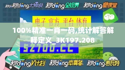 100%精准一肖一码,统计解答解释定义_3K197.208