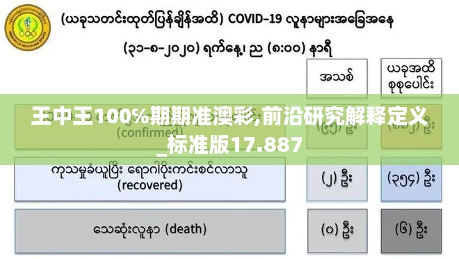 王中王100℅期期准澳彩,前沿研究解释定义_标准版17.887