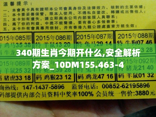 340期生肖今期开什么,安全解析方案_10DM155.463-4